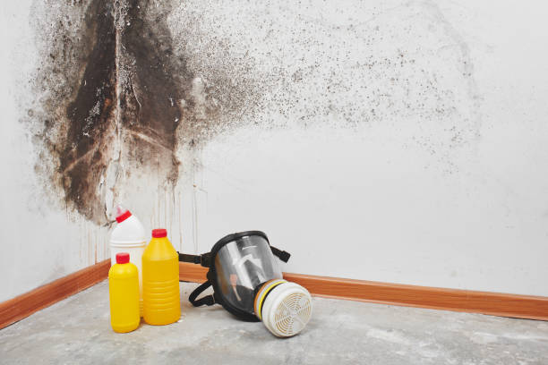 Local water damage restoration