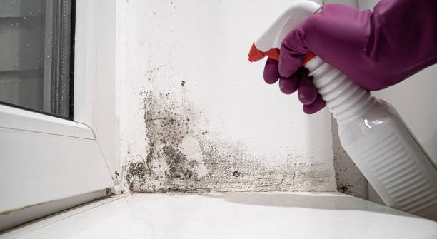 Water damage restoration mold remediation in Blue Jay, OH